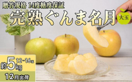 12月 贈答規格 完熟大玉ぐんま名月約5kg（12～16個）14度糖度保証【青森りんご・ゆうきアップル・12月】 果物類 果物 フルーツ ジューシー