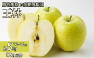 12月 贈答規格 王林約5kg（12～16個）14度糖度保証【青森りんご・ゆうきアップル・12月】 果物類 果物 フルーツ 代表品種 甘み