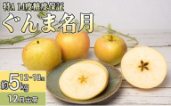 12月 特A ぐんま名月約5kg（12～18個）14度糖度保証【青森りんご・ゆうきアップル・12月】 果物類 フルーツ 果物