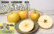 12月 贈答規格 完熟ぐんま名月 約5kg（18～20玉）14度糖度保証【青森りんご・ゆうきアップル・12月】 果物 フルーツ 黄色りんご 高糖度 糖度14度以上