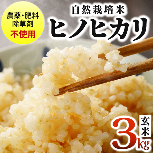 農薬・除草剤・肥料不使用 自然栽培米 令和7年度産ヒノヒカリ 玄米 3kg 2622256 - 福岡県篠栗町