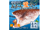 みかんの風味が食欲をそそる愛媛県の公認ブランド「みかん愛たい」食べ尽くしセット 三枚おろし2枚 頭 鯛 タイ 魚 刺身 煮つけ 愛媛 すぐ食べられる【V003840】
