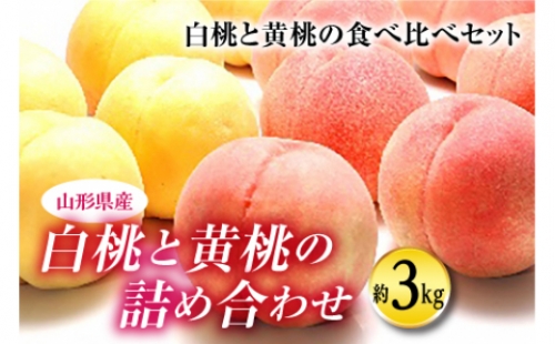 《先行予約》白桃と黄桃の詰め合わせ 約3kg F2Y-1465
