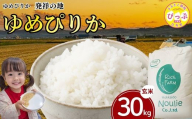 令和7年産 ゆめぴりか 玄米 30kg【農業生産法人ノウリエ】米 お米 北海道米 特Aランク 国産 コメ 北海道 比布町 ぴっぷ 1017-010