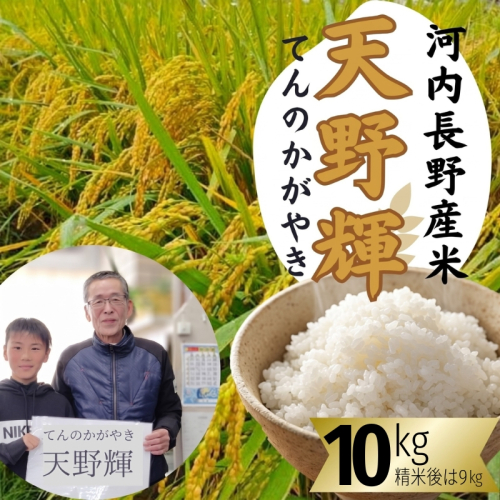 令和8年産 新米 にこまる 天野輝10kg （精米後約9kg）てんのかがやき 大阪府 河内長野市産 白米 甘み 粘り ブランド米 こめ コメ 子ども 食育 減農薬 河内長野市米 eco米 食味 白米 ごはん 銘柄米 ブランド 単一米 こめ コメ 白米 ごはん にこまる 2622353 - 大阪府河内長野市
