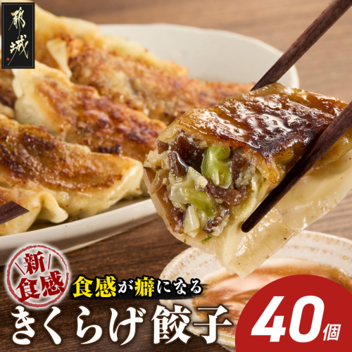 食感が癖になる!きくらげ餃子40個_LG-87-001-40 2622364 - 宮崎県都城市