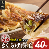 食感が癖になる!きくらげ餃子40個_LG-87-001-40