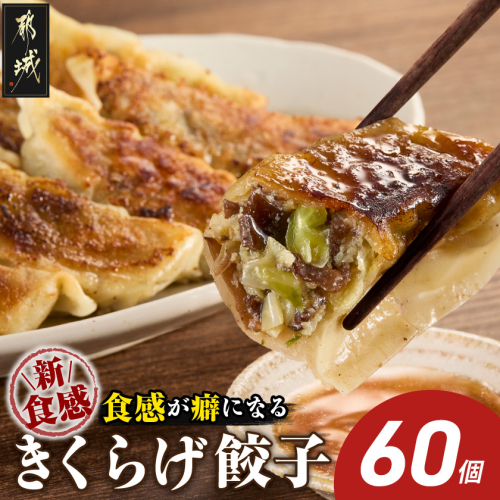食感が癖になる!きくらげ餃子60個_12-87-001-60 2622365 - 宮崎県都城市