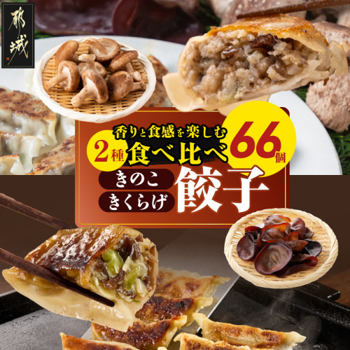 香りを堪能「きのこ餃子」&食感楽しむ「きくらげ餃子」食べ比べ66個_12-87-002 2622375 - 宮崎県都城市