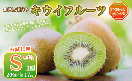 ＜12月〜3月発送＞プレミアム キウイ フルーツ Sサイズ 20個入 お試し 追熟処理済 ／ ふるさと納税 キウイ キウイフルーツ 訳あり 栄養 果物 化学肥料不使用 特別栽培 奈良県 宇陀市 やまとファームJAPAN 2622377 - 奈良県宇陀市