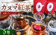 【幻の和紅茶】カヌマ紅茶 お試しティーバッグ 5包セット（3g×5包） | 和紅茶 紅茶 ティーパック 国産 茶 茶葉 リーフ 希少 プレゼント ギフト ご自宅用 家庭用 栃木県 鹿沼市 板荷