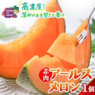 赤肉アールスメロン 1玉 赤肉 高糖度 甘い 美味しい フルーツ 誕生日 プレゼント ギフト 贈り物 父の日 母の日 1個 [FC30-NT]