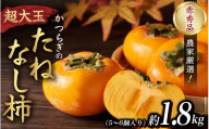 柿 種無し 赤秀品 超大玉 約1.8kg 5～6個 【先行予約】【2026年9月下旬から10月下旬頃発送】｜柿 果物 フルーツ 赤秀品 超大玉 【BK004-kgr003A】
