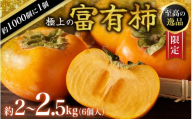 【限定】 富有柿 2kg～2.5kg 6個入 至高の逸品 約1000個に１個！【先行予約】【2025年10月末頃から11月末頃順次発送】|柿 富有柿 果物 フルーツ 【BK005-kgr013】