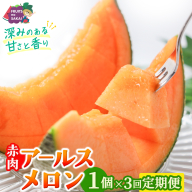 【定期便】 赤肉アールスメロン 1玉 × 3か月連続 赤肉 高糖度 甘い 美味しい フルーツ 誕生日 プレゼント ギフト 贈り物 父の日 母の日 1個 [FC36-NT]