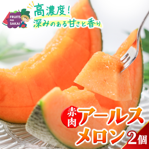赤肉アールスメロン 2玉 赤肉 高糖度 甘い 美味しい フルーツ 誕生日 プレゼント ギフト 贈り物 父の日 母の日 2個 [FC31-NT] 2622473 - 茨城県つくばみらい市