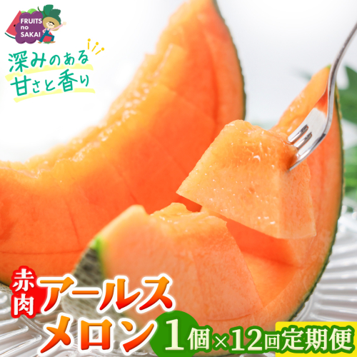 【定期便】 赤肉アールスメロン 1玉 × 12か月連続 赤肉 高糖度 甘い 美味しい フルーツ 誕生日 プレゼント ギフト 贈り物 父の日 母の日 1個 [FC38-NT] 2622475 - 茨城県つくばみらい市