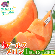 【定期便】 赤肉アールスメロン 1玉 × 12か月連続 赤肉 高糖度 甘い 美味しい フルーツ 誕生日 プレゼント ギフト 贈り物 父の日 母の日 1個 [FC38-NT]