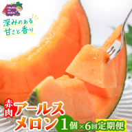 【定期便】 赤肉アールスメロン 1玉 × 6か月連続 赤肉 高糖度 甘い 美味しい フルーツ 誕生日 プレゼント ギフト 贈り物 父の日 母の日 1個 [FC37-NT]