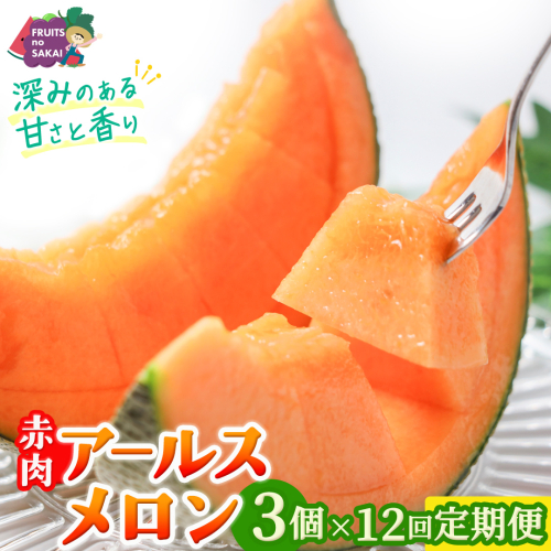 【定期便】 赤肉アールスメロン 3玉 × 12か月連続 アールスメロン 赤肉 ギフト 高糖度 甘い フルーツ 誕生日 プレゼント ギフト 贈り物 父の日 母の日 3個 [FC44-NT] 2622511 - 茨城県つくばみらい市