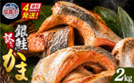 【最短4日スピード発送】 鮭 訳あり 銀鮭 カマ 冷凍 2kg(500g×4パック) 小分け 銀鮭かま サーモン かま 訳あり品 甘塩 仕上げ おすすめ 塩焼き 脂のり 塩銀鮭 銀鮭カマ 銀シャケ 鮭カマ 鮭かま サケ しゃけ シャケ 魚 魚介 宮城県 塩竈市 三晃食品 sh00001-2kg