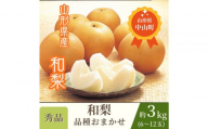 【2026年発送】★和梨　品種おまかせ★　秀品　約3kg