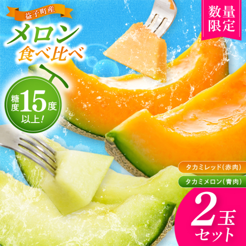 【先行予約】【数量限定】赤肉・青肉メロン食べ比べ2個セット｜タカミレッド＆タカミメロン｜高糖度・産地直送｜栃木県益子町 メロン プレゼント お中元 産地直送 赤肉 青肉　(AA045) 2622720 - 栃木県益子町