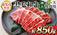 鹿児島県産 黒毛和牛 特上ロース 250g 国産  鹿児島 尾崎牧場 冷凍 和牛 ロース 焼肉 にも おすすめ!【00-030-32】