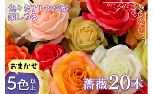 旬の薔薇おまかせ5色以上本 名産地山形 F2y 1644 山形県山形県庁 Au Pay ふるさと納税