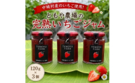 沖縄県中城村産いちご使用 ともや農場の完熟いちごジャム 120g×3個【1724318】
