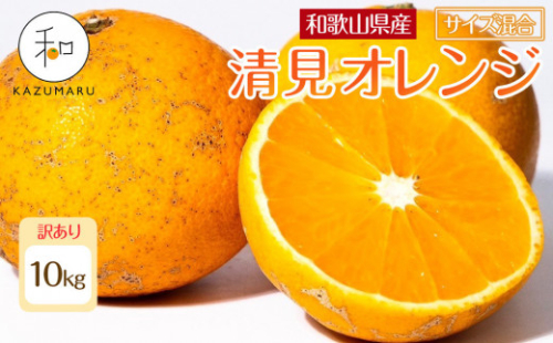 訳あり 森本農園の手選別 清見オレンジ 約10kg 和歌山県産 サイズ混合 ［北海道・沖縄・離島配送不可］［RN49］［2026年2月上旬から順次発送予定］ 2623022 - 和歌山県上富田町