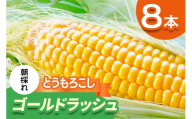 [期間限定]朝採れ とうもろこし ゴールドラッシュ 平安山農園【6月発送】 ｜旬 新鮮 野菜 トウモロコシ 直送 甘い 高糖度 人気 お取り寄せ 袖ケ浦 房総 千葉 [0731]