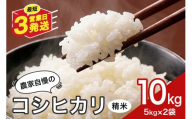 米 10kg 精米 白米 お米 こめ コメ コシヒカリ こしひかり ギフト プレゼント 10キロ おこめ ごはん ご飯 5kg 2袋計10kg 八百津町 岐阜県 (459)