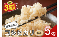 玄米 米 5kg お米 こめ コメ コシヒカリ こしひかり ギフト プレゼント 5キロ おこめ ごはん ご飯 八百津町 岐阜県 Y046-003
