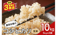 玄米 米 10kg お米 こめ コメ コシヒカリ こしひかり ギフト プレゼント 10キロ おこめ ごはん ご飯 5kg 2袋計10kg 八百津町 岐阜県 Y046-002