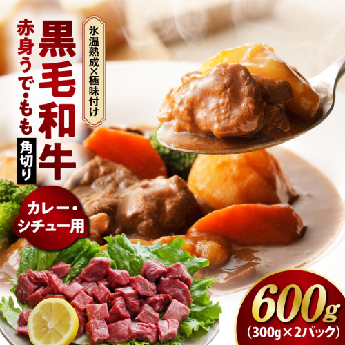 【氷温熟成×極味付け】黒毛和牛 赤身 うで・もも 角切り 600g【煮込み用 300g×2P 小分け 訳あり サイズ不揃い 簡単調理 カット済み カレー シチュー】 mrz0437 2623135 - 大阪府泉佐野市