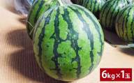 魂心の1玉 熊本産 すいか 「 はるそうせき 」 約6kg 1玉 スイカ 西瓜 くだもの 果物 フルーツ 国産 九州産 熊本県産 熊本県 熊本市 送料無料 【2026年5月上旬～6月下旬発送予定】