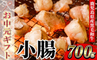 【お中元】鹿児島県産 黒毛和牛 小腸 ホルモン 700g 国産 鹿児島県産 黒毛和牛 小腸 モツ 生ホルモン 焼肉 もつ鍋【00-030-08-R8OC】