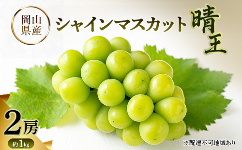 シャインマスカット晴王 岡山県産 約1kg(2房) 果物 フルーツ ぶどう ブドウ 葡萄 国産 岡山 2623286 - 岡山県高梁市