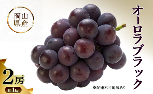 岡山県産 オーロラブラック 約1kg(2房) 果物 フルーツ ぶどう ブドウ 葡萄 国産 岡山 2623287 - 岡山県高梁市