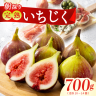 【先行予約】【農家直送】朝採り 完熟いちじく 700g以上 099H4538