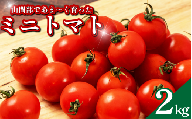 【先行予約 出荷2026年6月～】 甘い ミニトマト 2kg 産地直送 旬 トマト リコピン ビタミンC 野菜 美容 栄養 おいしい お弁当 夕飯 サラダ おかず 森下農園  徳島 三好 みよし