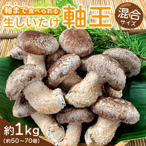 産地直送！軸まで美味しい『軸王しいたけ』サイズ混合 約1kg (約50～70個) しいたけ 椎茸 シイタケ きのこ キノコ 野菜 軸が太い 軸まで食べられる 特大 肉厚 旨味 菌床 国産 ぷりぷり ステーキ 椎茸ステーキ 新鮮 BBQ バーベキュー バター焼き 網焼き きんぴら オイル漬け [FL04-NT] 2623433 - 茨城県つくばみらい市