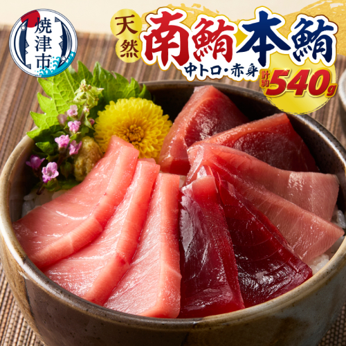 a27-014　マグロ 本マグロ 南マグロ 天然 中トロ 赤身 食べ比べ 柵 贅沢 540g 2623434 - 静岡県焼津市