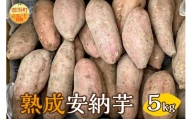 ブライトライフの熟成安納芋5キロ（生芋） 野菜 芋 安納芋 栽培期間中農薬不使用 5kg ブライトライフ 三重県 御浜町