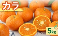 JAのカラマンダリン5キロ 果物 フルーツ みかん オレンジ カラマンダリン 5kg
