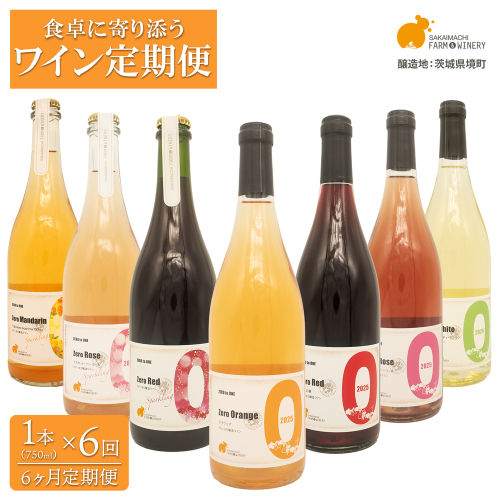 【6ヶ月定期便/毎月お届け】デイリーワイン 750ml×1本 おまかせ 赤 白 ロゼ スパークリング 酒 クラフト ギフト プレゼント 母の日 父の日 K2709 2623743 - 茨城県境町