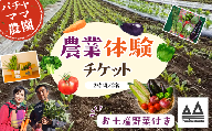 農業体験チケット（2時間／2名）+お土産野菜付き 1枚【 農業体験 体験 野菜 農作業 家族 親子 畑 お土産 】