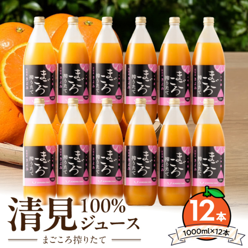 ZE6523_【まごころ搾りたて】清見100%ジュース 1000ml×12本 2623870 - 和歌山県湯浅町