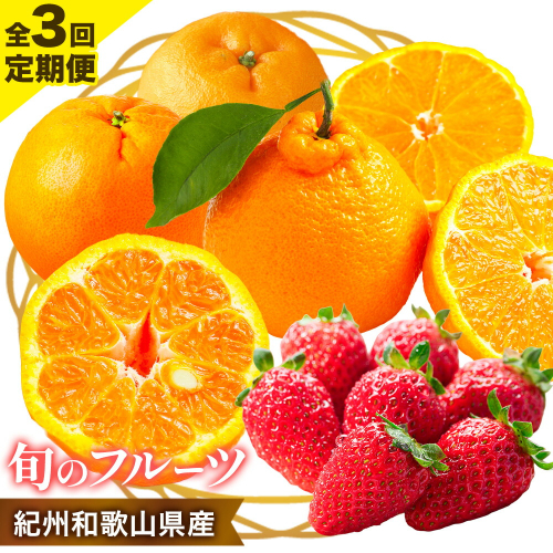 【発送月固定定期便】紀州和歌山県産 旬のフルーツ (いちご・ポンカン・紀州デコ) 全3回 選べる内容量 Mセット Sセット 魚鶴商店《1月上旬-3月下旬頃出荷》 和歌山県 日高町 まりひめ いちご ポンカン 紀州デコ 不知火 定期便 フルーツ 果物 定期便 2624002 - 和歌山県日高町